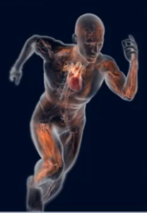 running man see through skin anatomy showing